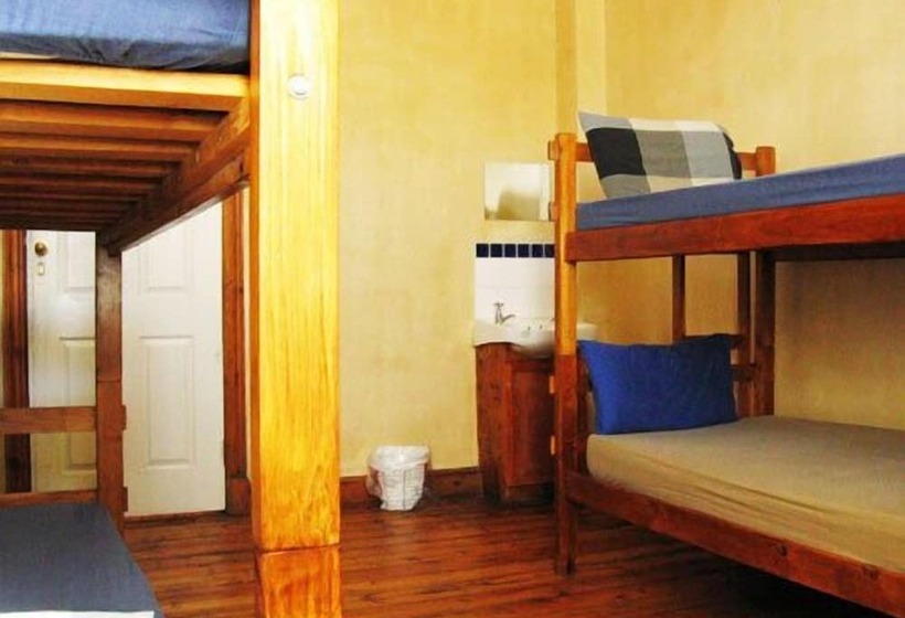 Carnival Court Backpackers   Hostel