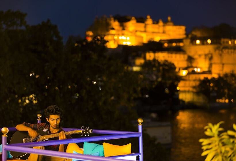 Gostops Udaipur   Hostel