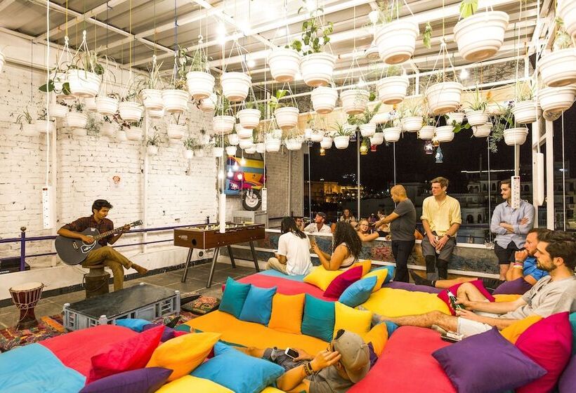 Gostops Udaipur   Hostel