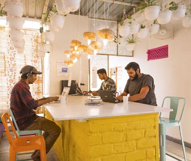 Gostops Udaipur   Hostel