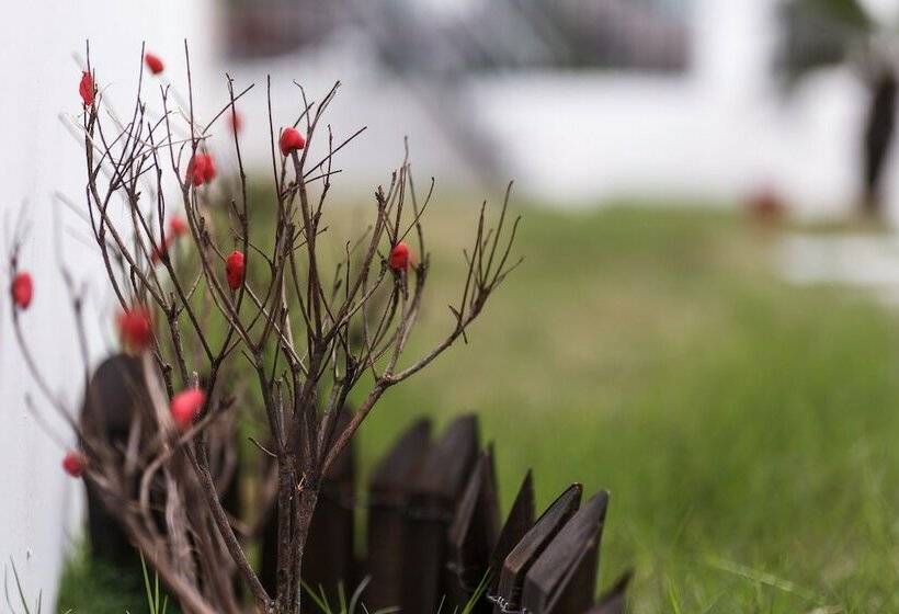 Pensionat Wuzhen Dreamy Atmosphere Inn