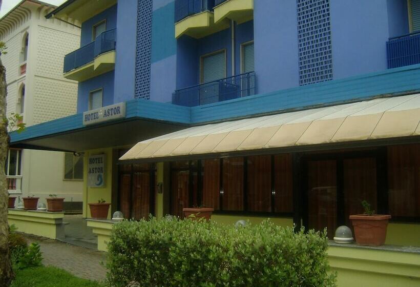 בית מלון כפרי Astor