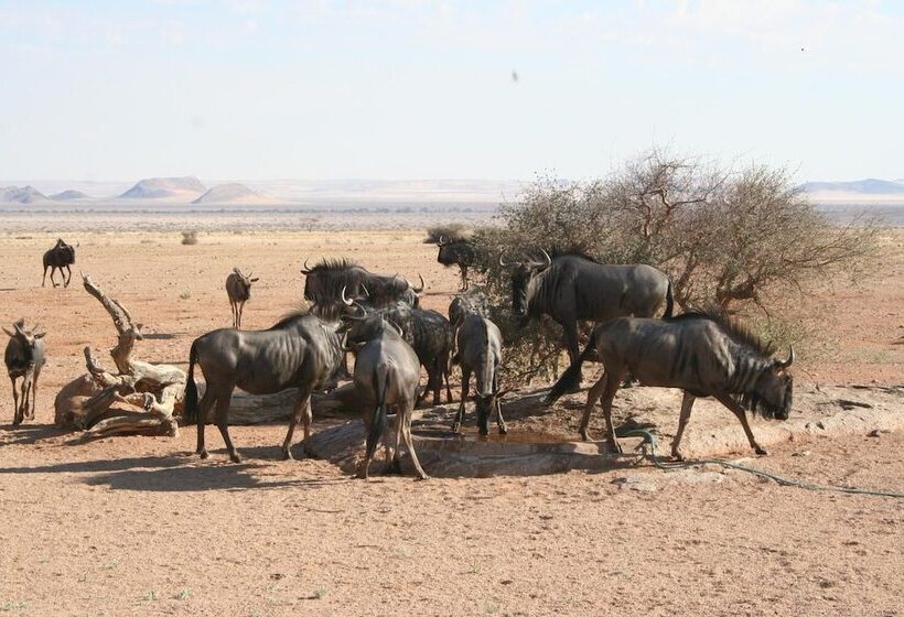 Отель Namib Naukluft Lodge