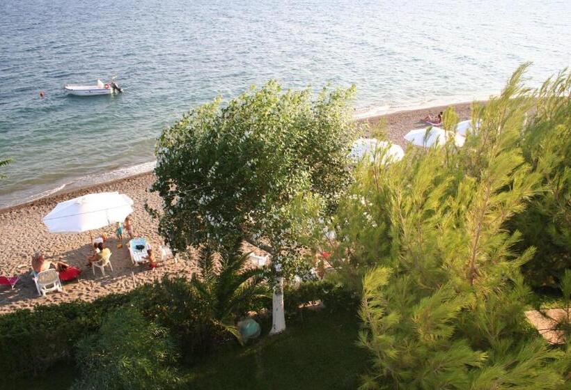 Posidonia Pension