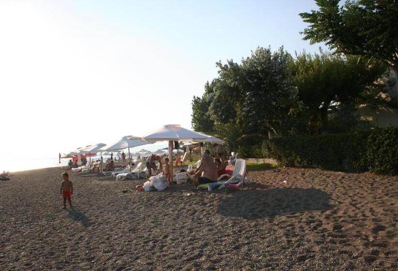 Posidonia Pension