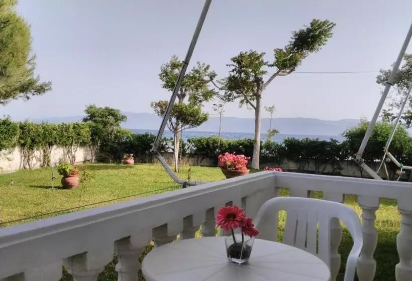 Posidonia Pension