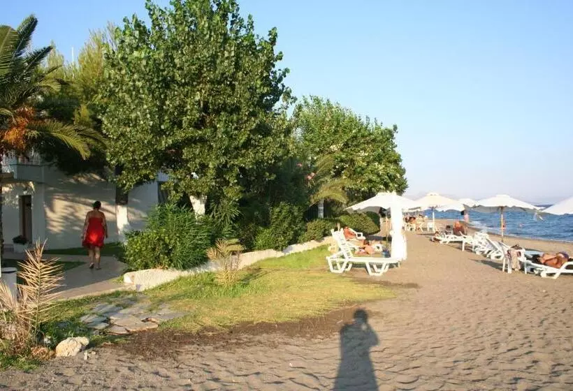 Posidonia Pension