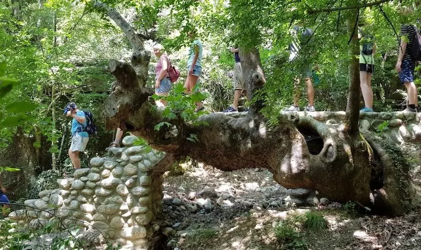 Host El Greco   Hostel