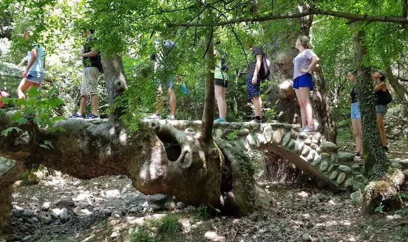 Host El Greco   Hostel