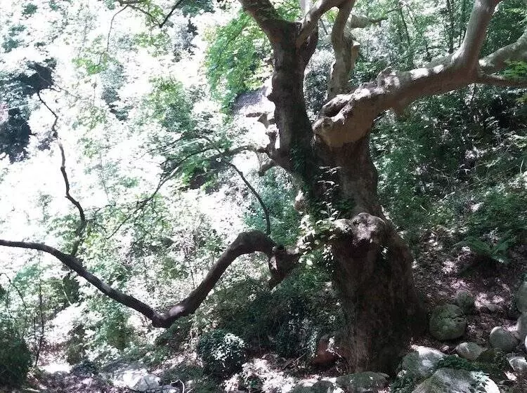 Host El Greco   Hostel