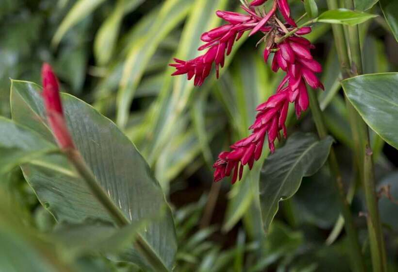 Bed and Breakfast Apartamento El Descanso