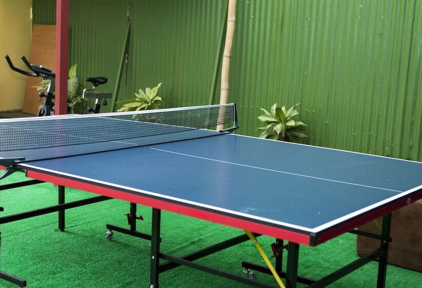 Bed and Breakfast Apartamento El Descanso