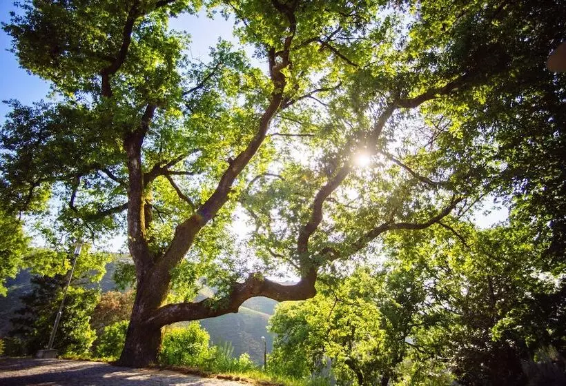 Hotelli Rural Misarela