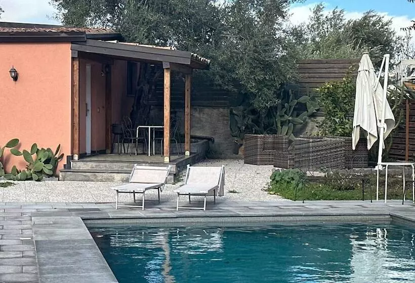 Ottomood B&b And Apartments