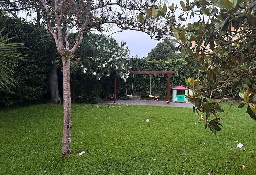 Ottomood B&b And Apartments