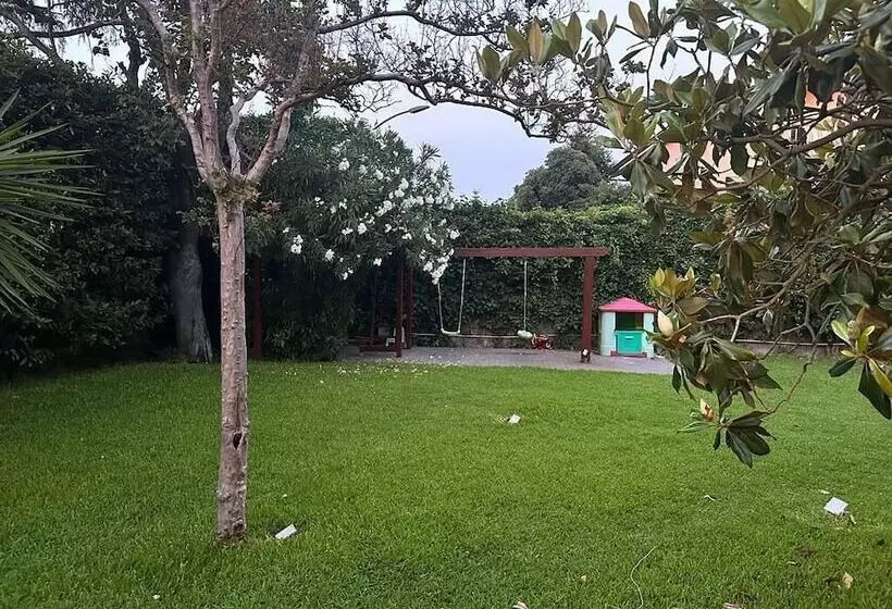 Ottomood B&b And Apartments