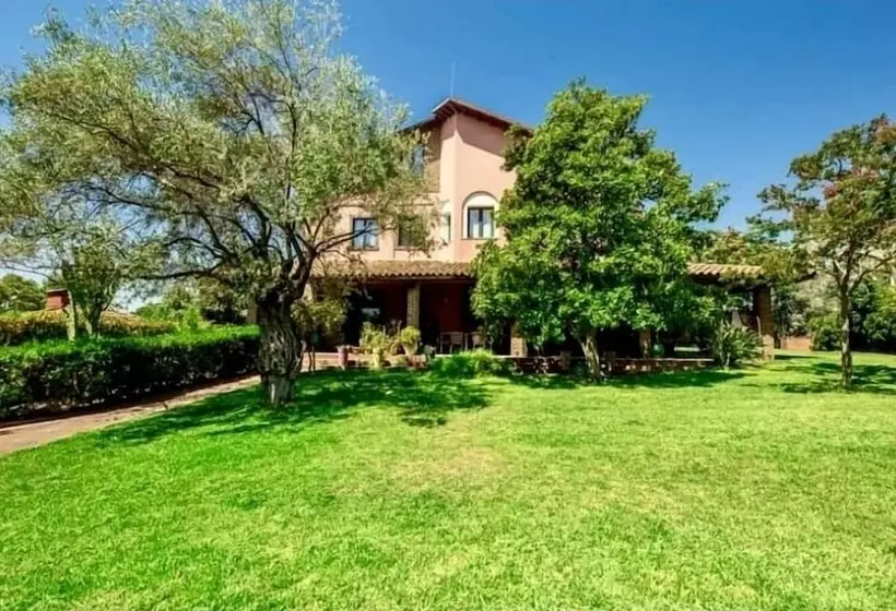 Ottomood B&b And Apartments