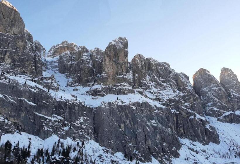 پانسیون Fn & Company