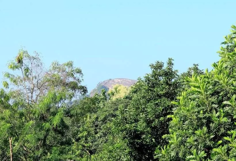تختخواب و صبحانه Seasons Villa