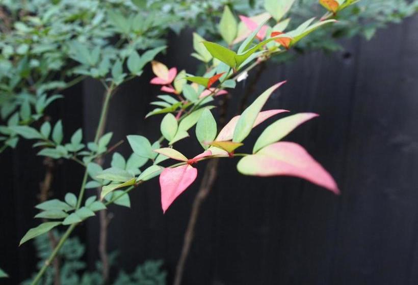 Higashiyama Megumian