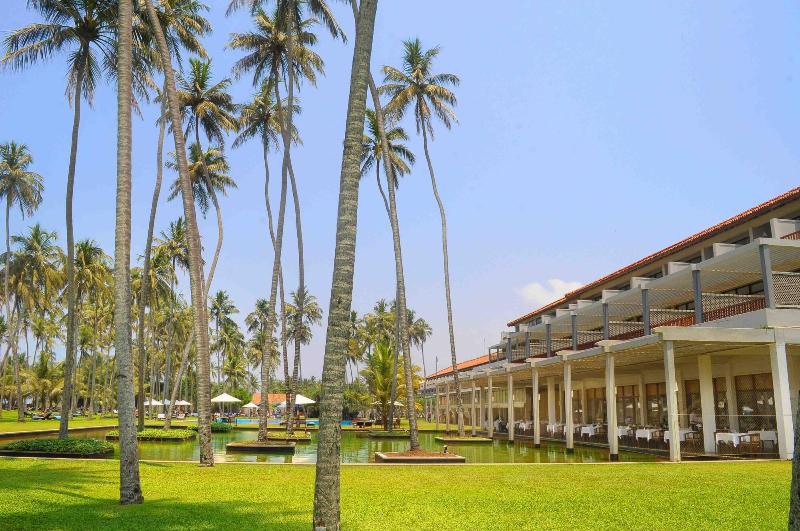 فندق The Blue Water