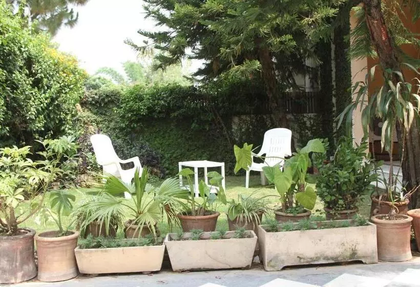 پانسیون Delano Guest House