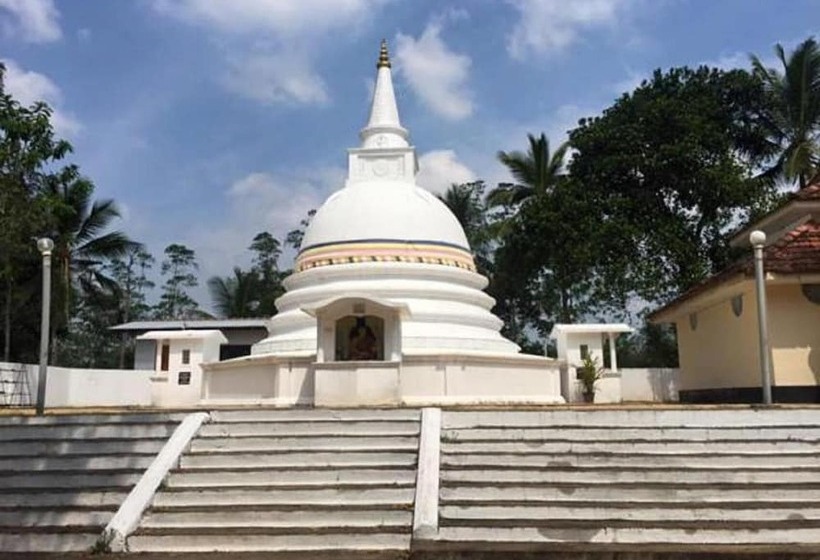 تختخواب و صبحانه Mary's Palm Garden