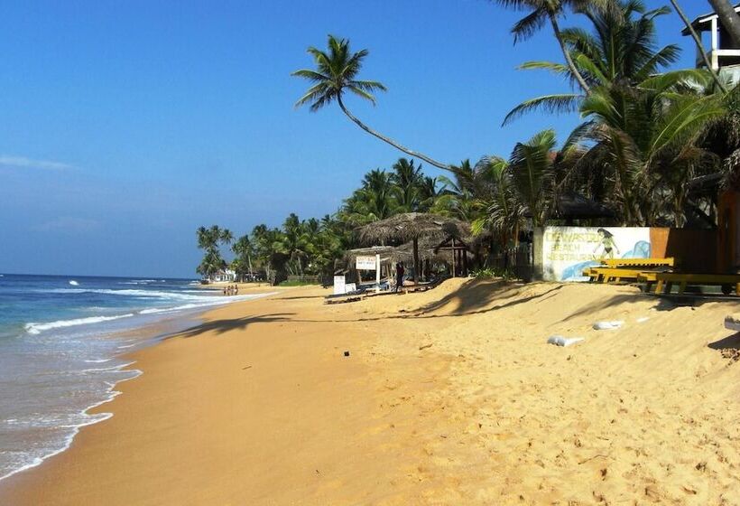 تختخواب و صبحانه Mary's Palm Garden