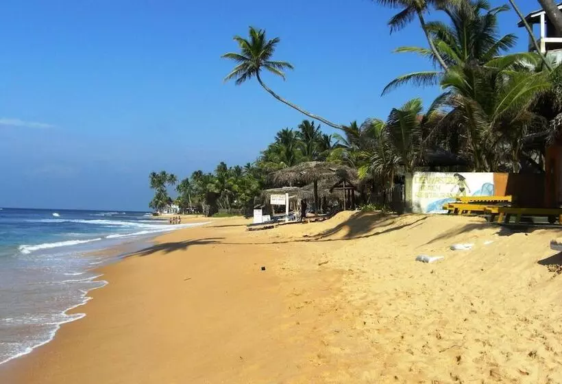 تختخواب و صبحانه Mary's Palm Garden