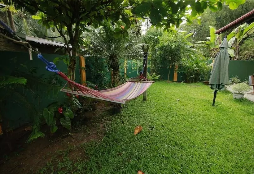 تختخواب و صبحانه Mary's Palm Garden