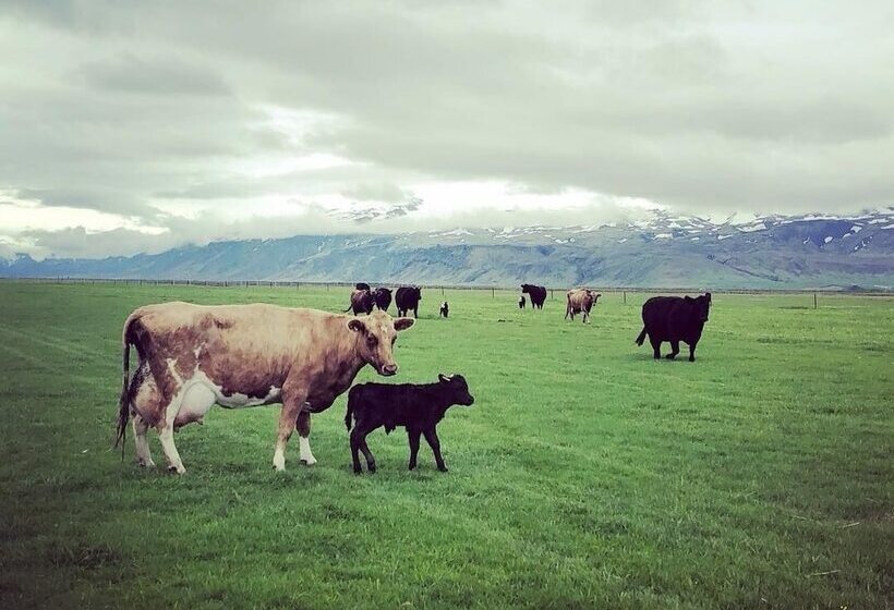 هتل Hótel Fljótshlíd