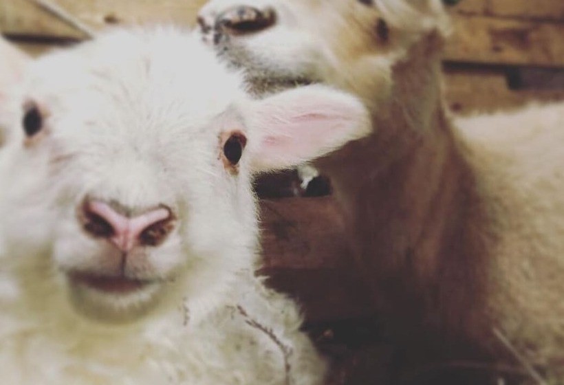 هتل Hótel Fljótshlíd