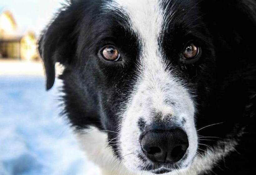 هتل Hótel Fljótshlíd