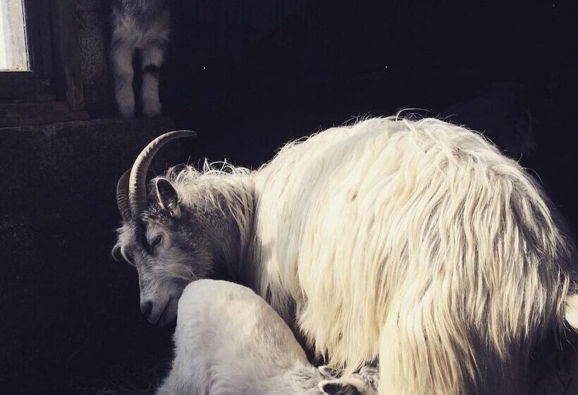 هتل Hótel Fljótshlíd