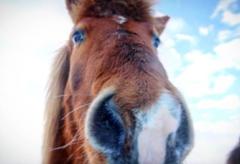 هتل Hótel Fljótshlíd