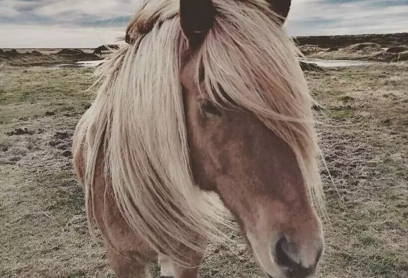 هتل Hótel Fljótshlíd