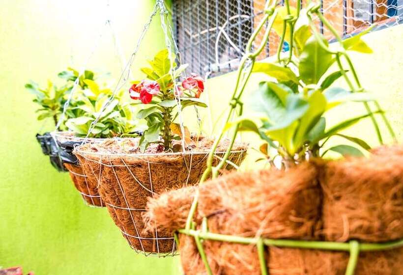 בית מלון כפרי Villa Deicer