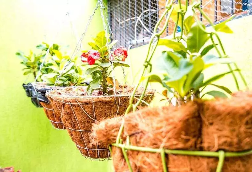 Hotelli Villa Deicer