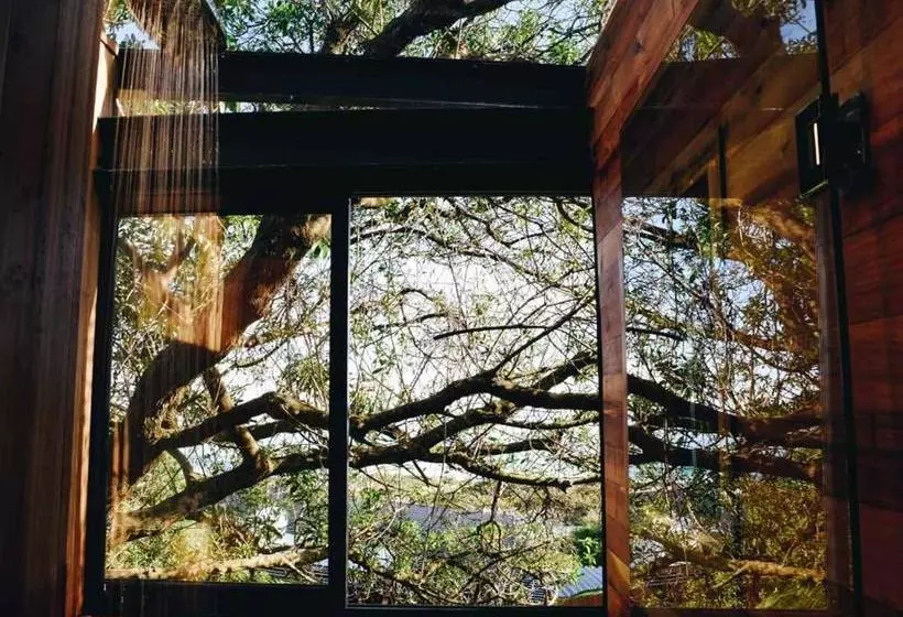Synergy Treehouse