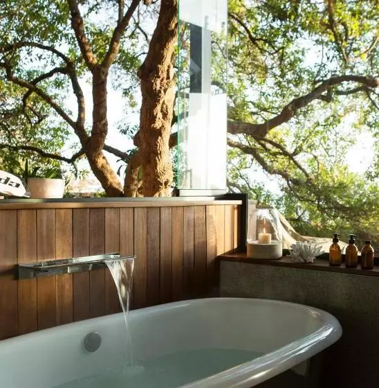 Synergy Treehouse