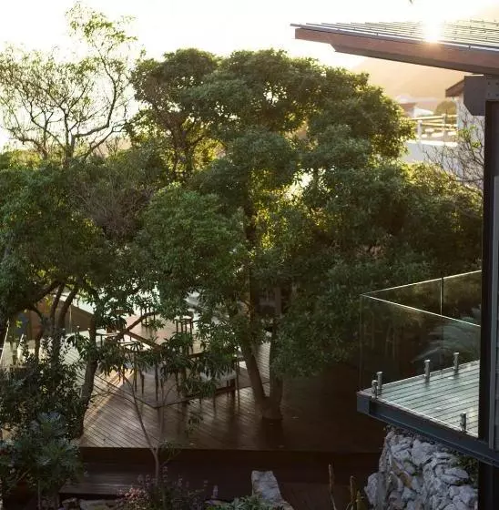 Synergy Treehouse
