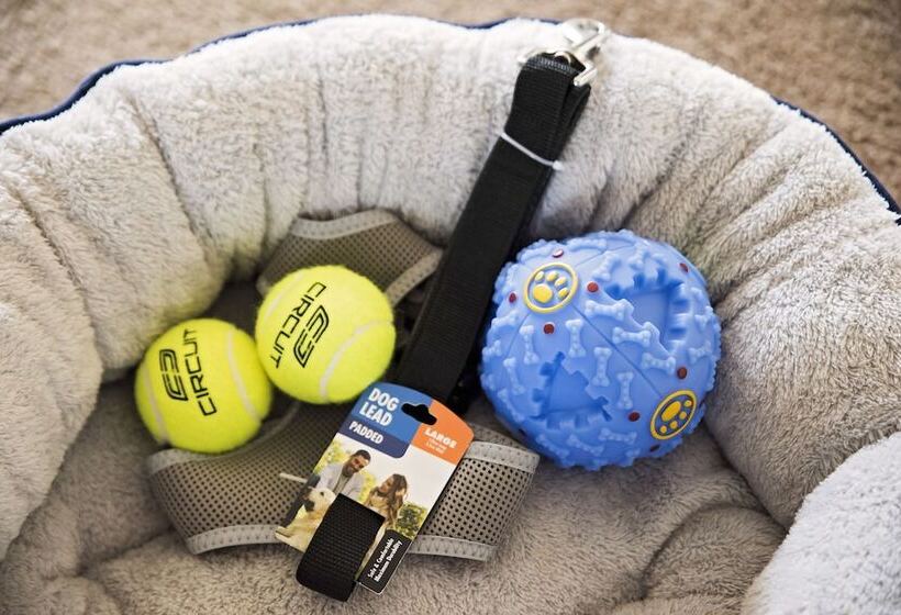 Echuca Moama Holiday Accommodation 1