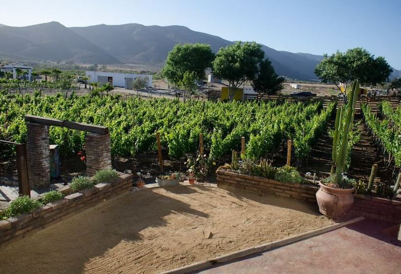 Ecléctico Guadalupe