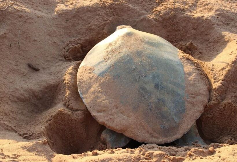 فندق Port Tourist Park