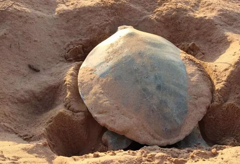 Hotelli Port Tourist Park