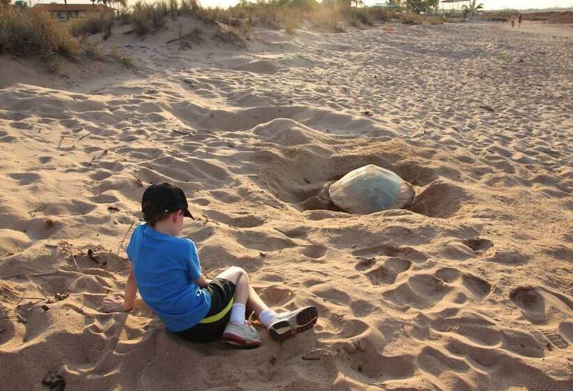 فندق Port Tourist Park