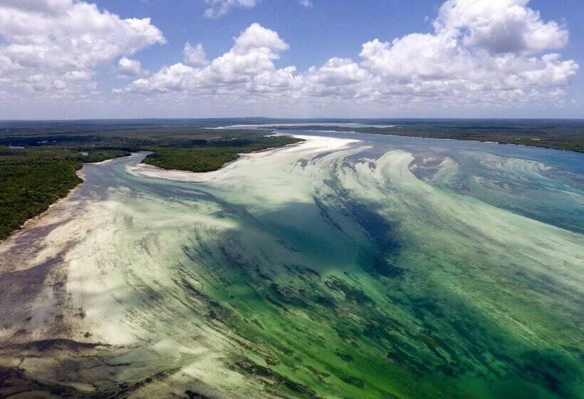 هتل Rock And Sea Resort