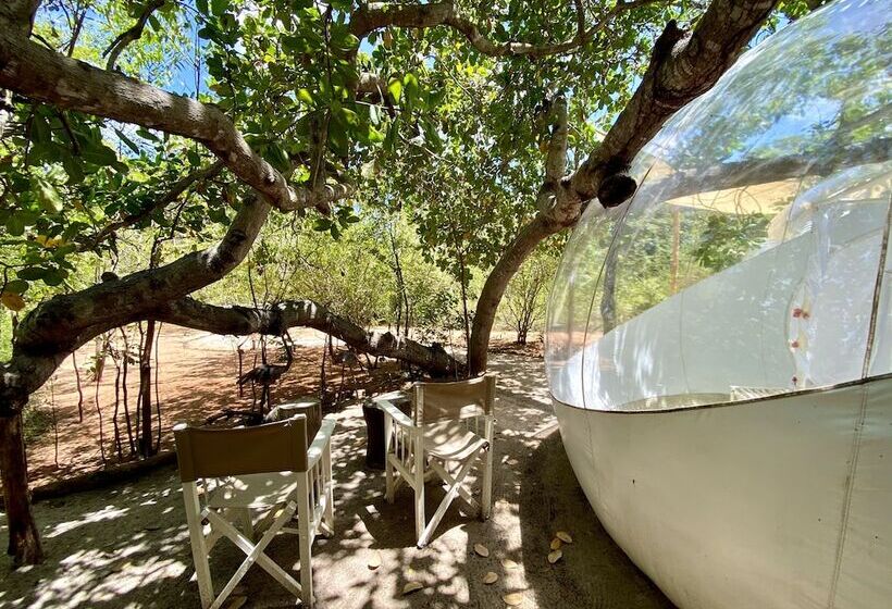 هتل Rock And Sea Resort