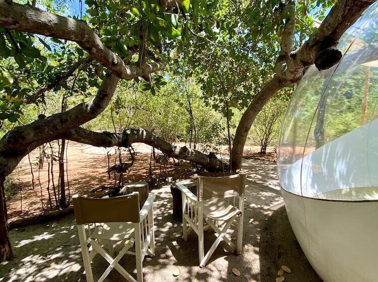 هتل Rock And Sea Resort