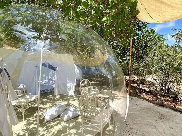 هتل Rock And Sea Resort